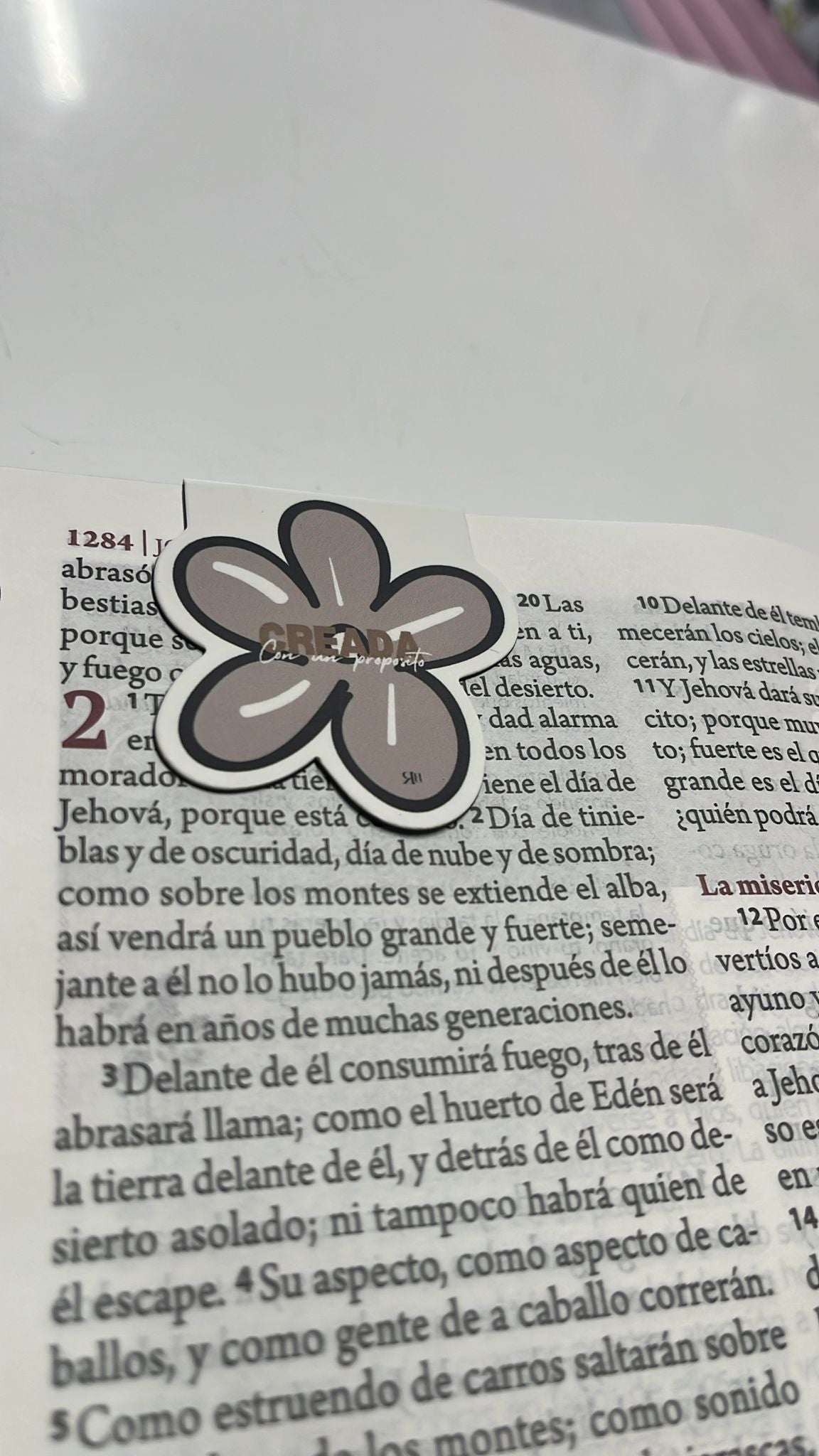 MARCADOR DE PÁGINA CREADA CON PROPOSITO (PREVENTA, LLEGARÁ ENTRE EL 20-26 de sep)