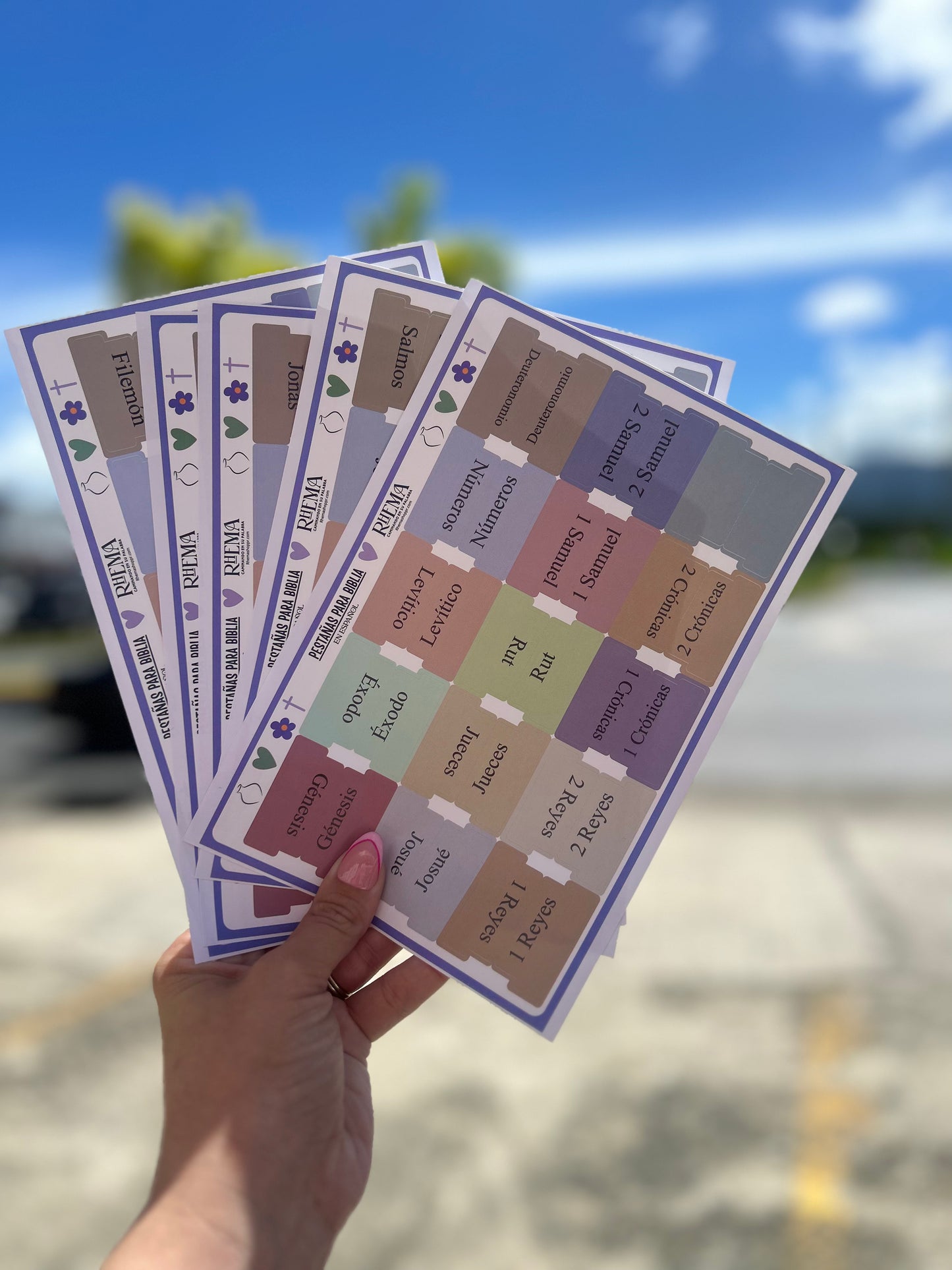 TABS PARA BIBLIA ESPAÑOL